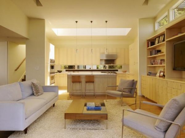 зонирование мебелью в кухне гостиной 20 кв. метров
