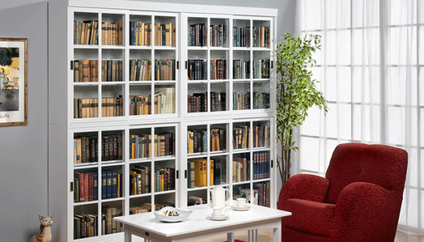 стильный шкаф с библиотекой в гостиной в современном стиле