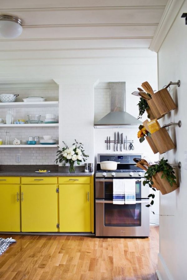 горшки с цветами в интерьере современной кухни